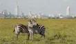 Zebras in front of the Nairobi city skyline in Nairobi National Park